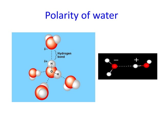 Water and ice physical properties and its structure-1.pptx