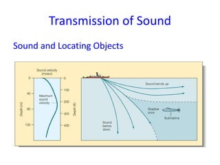 Transmission of Sound
Sound and Locating Objects
 