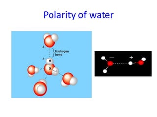 Polarity of water
 