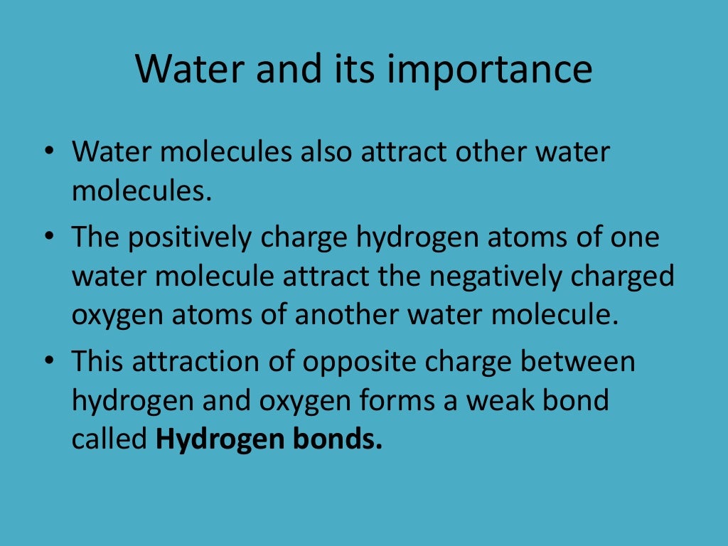 Water and Biomolecules