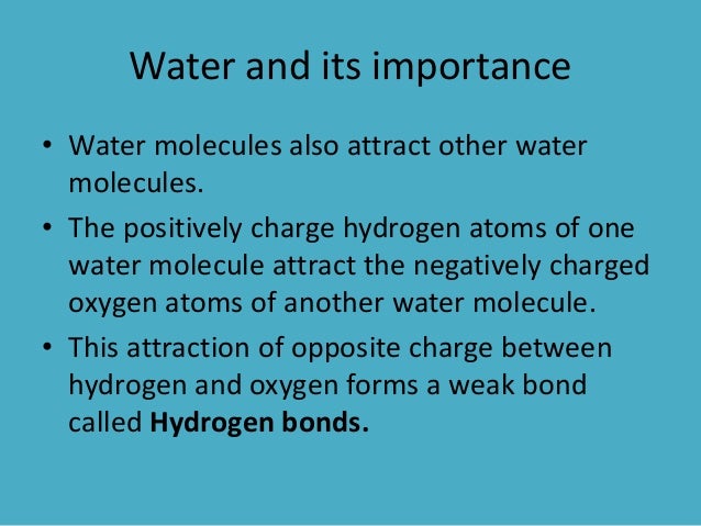Water And Biomolecules