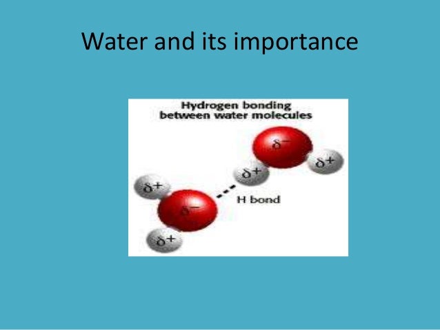 Is Water A Biomolecule _ Water Dynamics in the Hydration Shells of ...