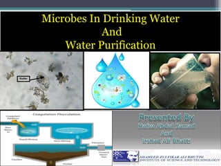 Microbes In Drinking Water
And
Water Purification
 
