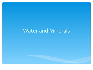 Water and Minerals 