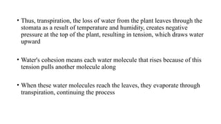 Water Moleculre Rises Water and Nutrient Uptake by Plants - New.pptx