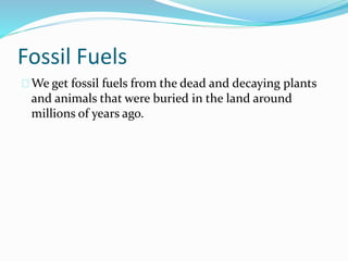 Fossil Fuels 
We get fossil fuels from the dead and decaying plants 
and animals that were buried in the land around 
millions of years ago. 
 