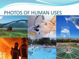PHOTOS OF HUMAN USES 
 