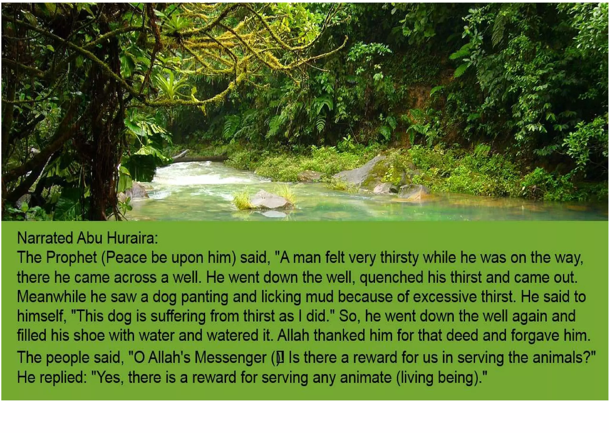 Water and rivers as mentioned in Islam