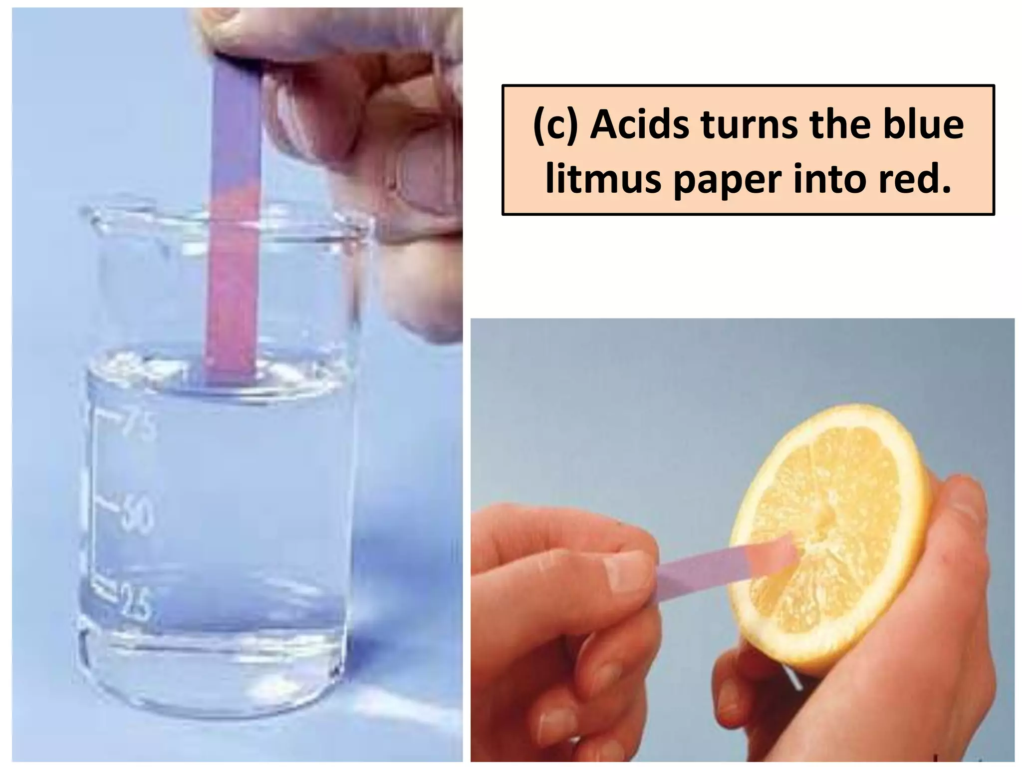 (c) Acids turns the blue
 litmus paper into red.
 