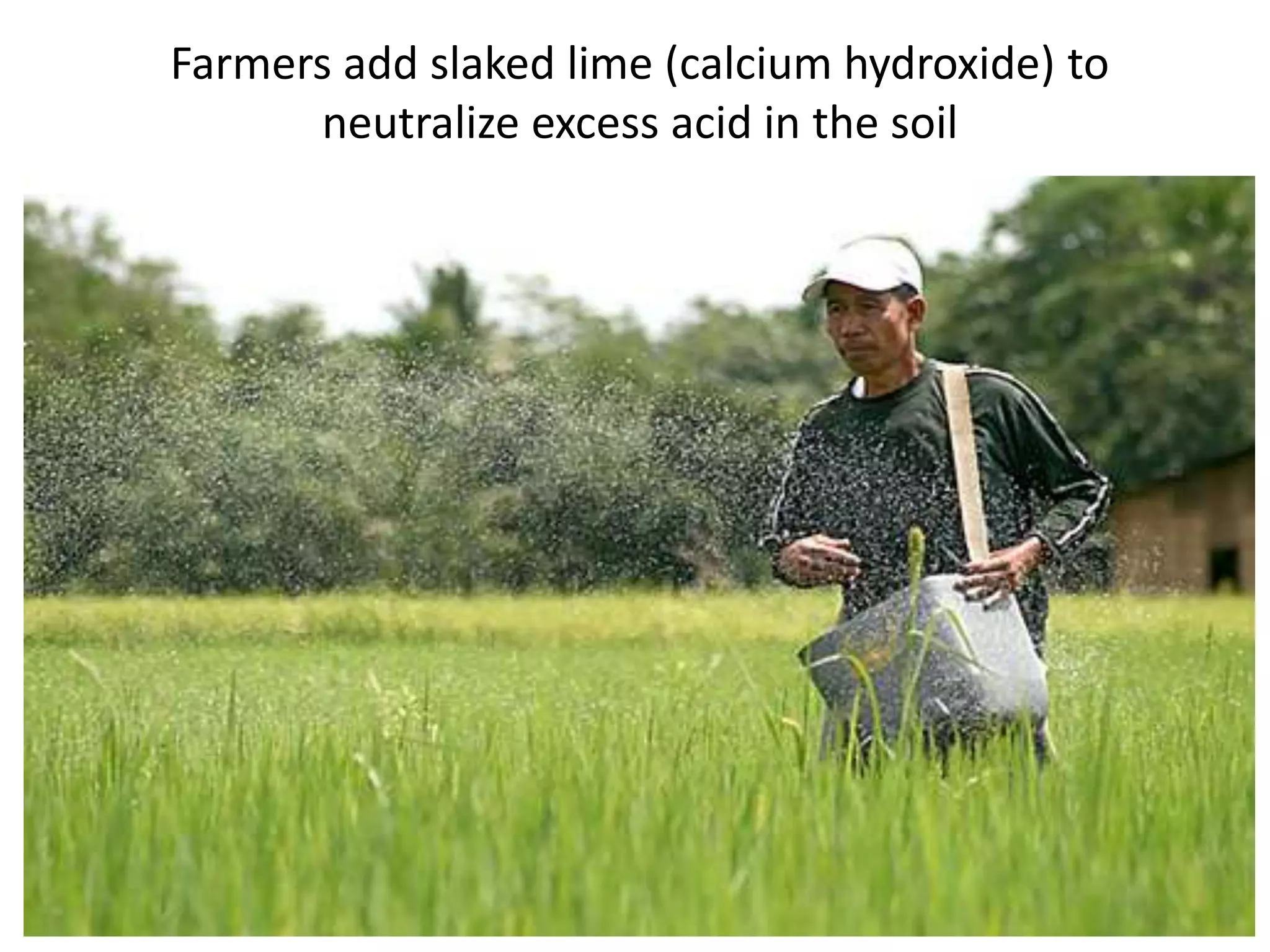 Farmers add slaked lime (calcium hydroxide) to
      neutralize excess acid in the soil
 