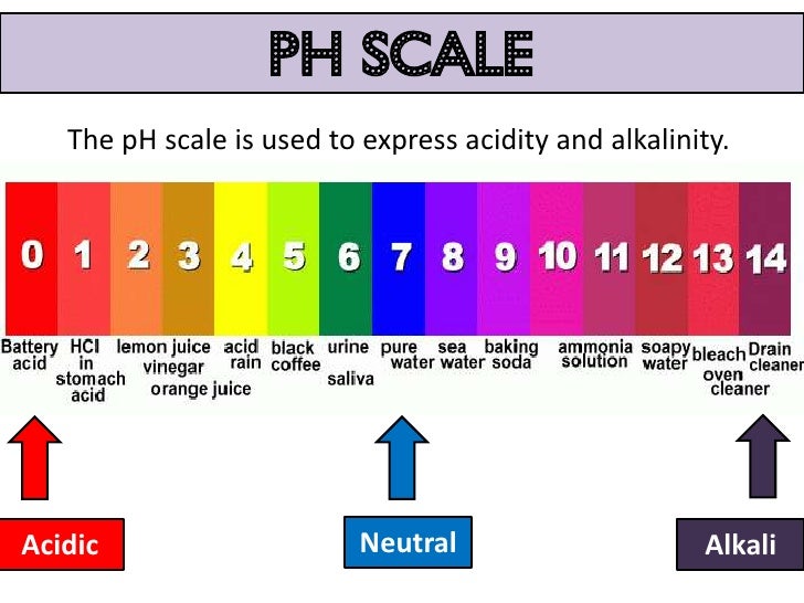 ph of dilute ammonia solution