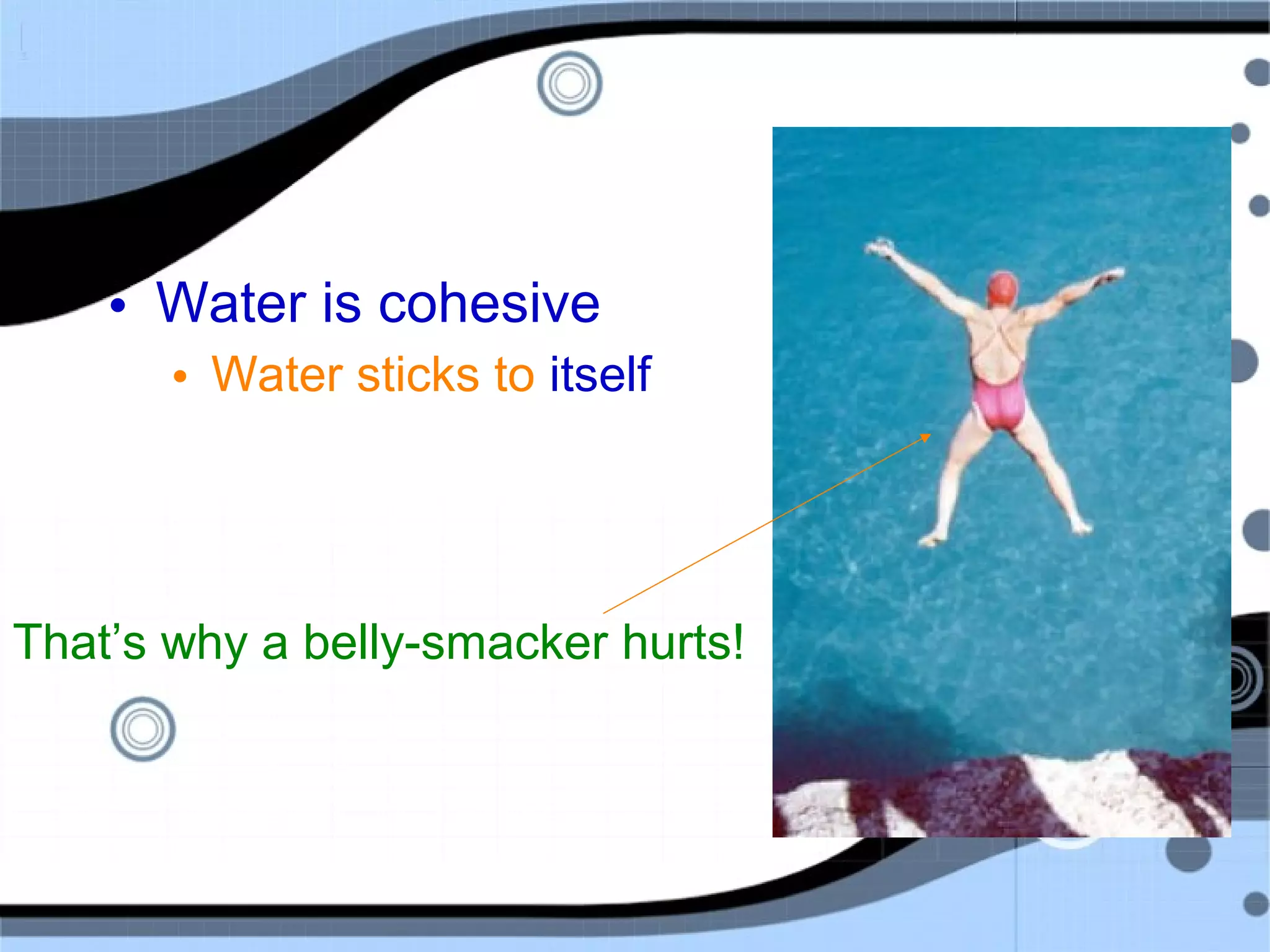 • Water is cohesive
• Water sticks to itself
That’s why a belly-smacker hurts!
 