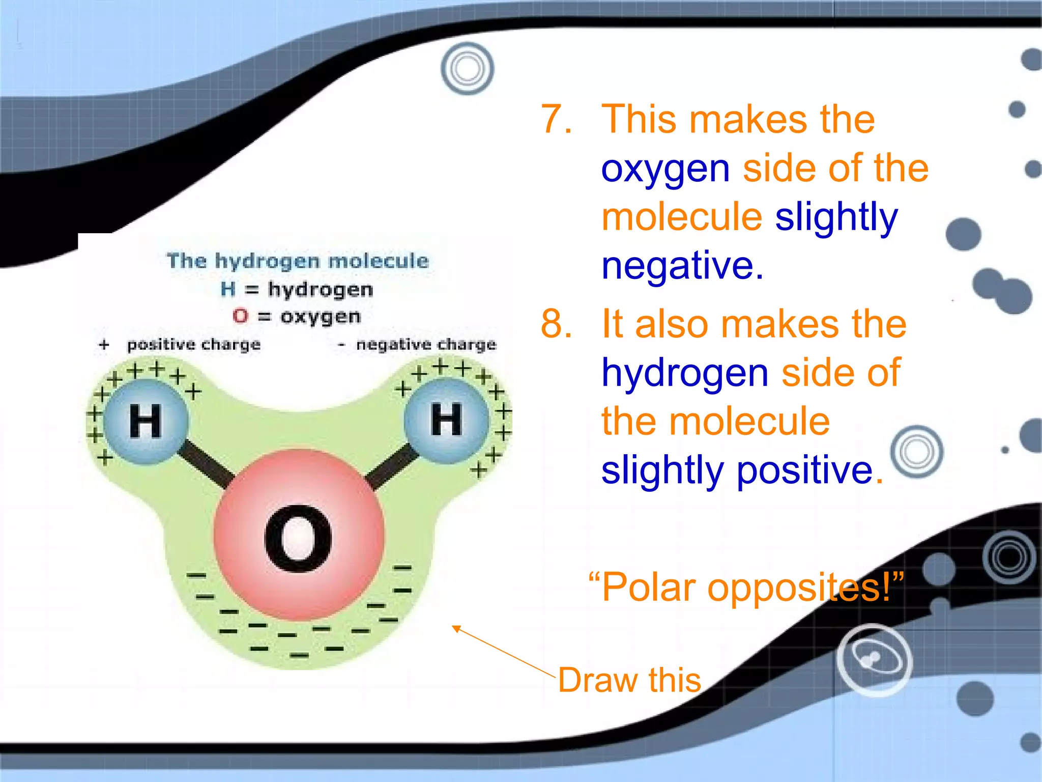 7. This makes the
oxygen side of the
molecule slightly
negative.
8. It also makes the
hydrogen side of
the molecule
slightly positive.
“Polar opposites!”
Draw this
 