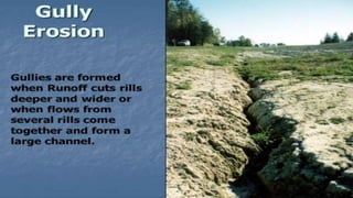 Gully Erosion
 