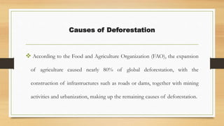 Causes of Deforestation
 According to the Food and Agriculture Organization (FAO), the expansion
of agriculture caused nearly 80% of global deforestation, with the
construction of infrastructures such as roads or dams, together with mining
activities and urbanization, making up the remaining causes of deforestation.
 