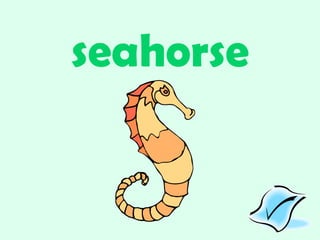 seahorse 