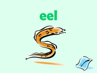eel 