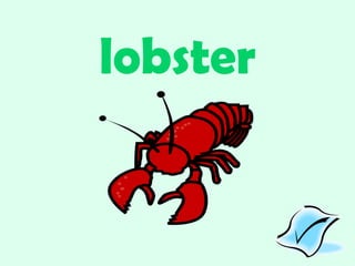 lobster 