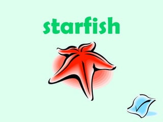 starfish 