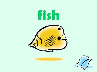 fish 