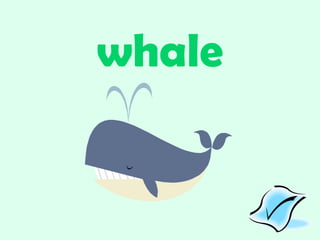 whale 