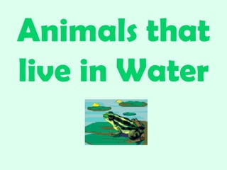 Water or land animals