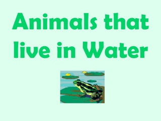 Animals that live in Water 