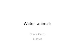 Water animals
Grace Catto
Class 8
 