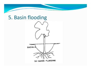 5. Basin flooding
 