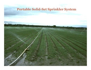 Portable Solid-Set Sprinkler System
         Solid-
 