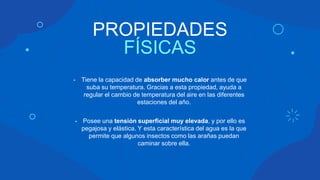 PROPIEDADES
FÍSICAS
- Tiene la capacidad de absorber mucho calor antes de que
suba su temperatura. Gracias a esta propiedad, ayuda a
regular el cambio de temperatura del aire en las diferentes
estaciones del año.
- Posee una tensión superficial muy elevada, y por ello es
pegajosa y elástica. Y esta característica del agua es la que
permite que algunos insectos como las arañas puedan
caminar sobre ella.
 