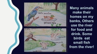 Many animals
make their
homes on my
banks, Others
use the river
for food and
drink. Some
birds eat
small fish
from the river!
 