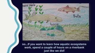 so...If you want to learn how aquatic ecosystems
work, spend a couple of hours on a riverbank
just like we did!
 