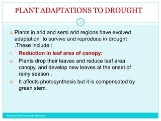 Water as an Ecological Factor by Salman Saeed Lecturer Botany | PPTX