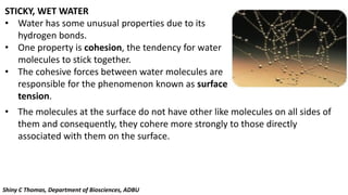 STICKY, WET WATER
• Water has some unusual properties due to its
hydrogen bonds.
• One property is cohesion, the tendency for water
molecules to stick together.
• The cohesive forces between water molecules are
responsible for the phenomenon known as surface
tension.
• The molecules at the surface do not have other like molecules on all sides of
them and consequently, they cohere more strongly to those directly
associated with them on the surface.
Shiny C Thomas, Department of Biosciences, ADBU
 