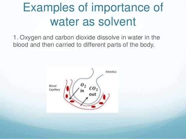 kitchen of solutions found examples in the water as 1 oxygen solvent examples and of of importance kitchen of solutions found examples in the water as 1 oxygen solvent examples and of of importance