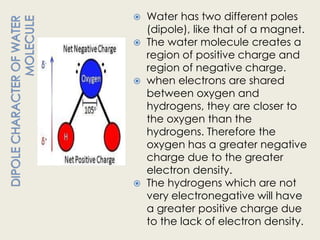  Water has two different poles
  (dipole), like that of a magnet.
 The water molecule creates a
  region of positive charge and
  region of negative charge.
 when electrons are shared
  between oxygen and
  hydrogens, they are closer to
  the oxygen than the
  hydrogens. Therefore the
  oxygen has a greater negative
  charge due to the greater
  electron density.
 The hydrogens which are not
  very electronegative will have
  a greater positive charge due
  to the lack of electron density.
 