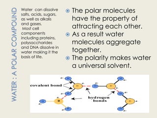 Water can dissolve
salts, acids, sugars,
                         The polar molecules
as well as alkalis        have the property of
and gases.
 Most cell                attracting each other.
components               As a result water
including proteins,
polysaccharides           molecules aggregate
and DNA dissolve in
water making it the       together.
basis of life.           The polarity makes water
                          a universal solvent.
 