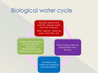 Aquatic plants and
                animals absorb water
                  from the medium.
                Trees absorb water by
                  roots from the soil.


Water returned to the
  environment by                 Plants loose water by
     bacterial                     transpiration thro‟
 decomposition of                        leaves.
dead organic matter.




                    Animals loose
                  water by sweating
                   and elimination.
 