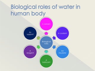 A solvent



  As
                       A coolant
support


          Biological
             roles


   A                      An
reagent                insulator


              A
          lubricant
 
