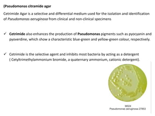 (Pseudomonas citramide agar
Cetrimide Agar is a selective and differential medium used for the isolation and identification
of Pseudomonas aeruginosa from clinical and non-clinical specimens
 Cetrimide also enhances the production of Pseudomonas pigments such as pyocyanin and
pyoverdine, which show a characteristic blue-green and yellow-green colour, respectively.
 Cetrimide is the selective agent and inhibits most bacteria by acting as a detergent
( Cetyltrimethylammonium bromide, a quaternary ammonium, cationic detergent).
 