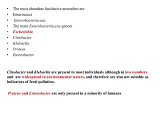 • The most abundant facultative anaerobes are
• Enterococci
• Enterobacteriaceae.
• The main Enterobacteriaceae genera
• Escherichia
• Citrobacter
• Klebsiella
• Proteus
• Enterobacter
Citrobacter and Klebsiella are present in most individuals although in low numbers
and are widespread in environmental waters, and therefore are also not suitable as
indicators of fecal pollution.
Proteus and Enterobacter are only present in a minority of humans
 