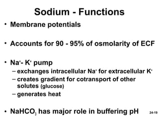 24-19
Sodium - Functions
• Membrane potentials
• Accounts for 90 - 95% of osmolarity of ECF
• Na+
- K+
pump
– exchanges intracellular Na+
for extracellular K+
– creates gradient for cotransport of other
solutes (glucose)
– generates heat
• NaHCO3 has major role in buffering pH
 