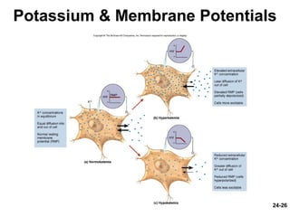 24-26
Potassium & Membrane Potentials
 
