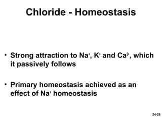 24-28
Chloride - Homeostasis
• Strong attraction to Na+
, K+
and Ca2+
, which
it passively follows
• Primary homeostasis achieved as an
effect of Na+
homeostasis
 