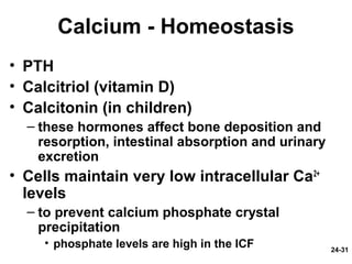 24-31
Calcium - Homeostasis
• PTH
• Calcitriol (vitamin D)
• Calcitonin (in children)
– these hormones affect bone deposition and
resorption, intestinal absorption and urinary
excretion
• Cells maintain very low intracellular Ca2+
levels
– to prevent calcium phosphate crystal
precipitation
• phosphate levels are high in the ICF
 
