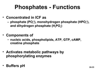 24-33
Phosphates - Functions
• Concentrated in ICF as
– phosphate (PO4
3-
), monohydrogen phosphate (HPO4
2-
),
and dihydrogen phosphate (H2PO4
-
)
• Components of
– nucleic acids, phospholipids, ATP, GTP, cAMP,
creatine phosphate
• Activates metabolic pathways by
phosphorylating enzymes
• Buffers pH
 