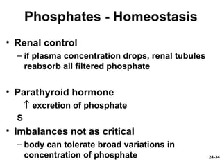 24-34
Phosphates - Homeostasis
• Renal control
– if plasma concentration drops, renal tubules
reabsorb all filtered phosphate
• Parathyroid hormone
↑ excretion of phosphate
S
• Imbalances not as critical
– body can tolerate broad variations in
concentration of phosphate
 