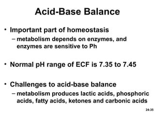 24-35
Acid-Base Balance
• Important part of homeostasis
– metabolism depends on enzymes, and
enzymes are sensitive to Ph
• Normal pH range of ECF is 7.35 to 7.45
• Challenges to acid-base balance
– metabolism produces lactic acids, phosphoric
acids, fatty acids, ketones and carbonic acids
 