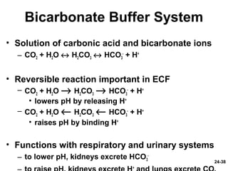24-38
Bicarbonate Buffer System
• Solution of carbonic acid and bicarbonate ions
– CO2 + H2O ↔ H2CO3 ↔ HCO3
-
+ H+
• Reversible reaction important in ECF
– CO2 + H2O → H2CO3 → HCO3
-
+ H+
• lowers pH by releasing H+
– CO2 + H2O ← H2CO3 ← HCO3
-
+ H+
• raises pH by binding H+
• Functions with respiratory and urinary systems
– to lower pH, kidneys excrete HCO3
-
+
 